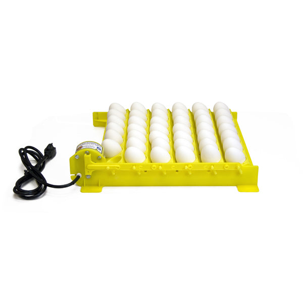 Chicken Egg Turner