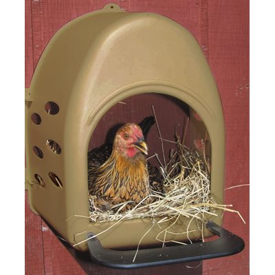 Plastic Poultry Nesting Box