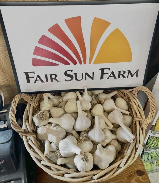 Bulk Organic Seed Garlic