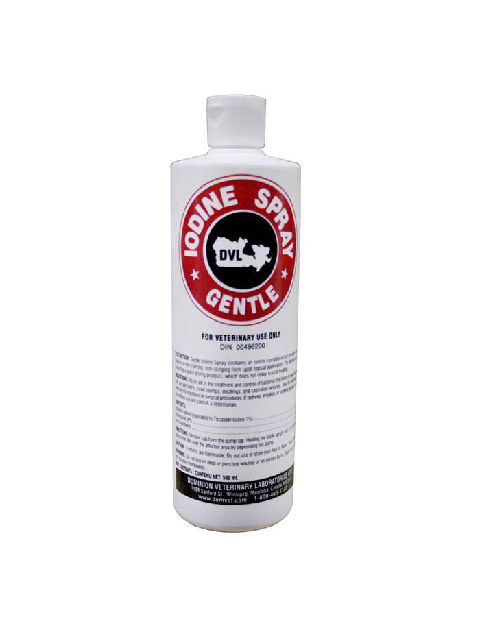 Iodine Antiseptic - Gentle 1% - Cleary Feed & Seed