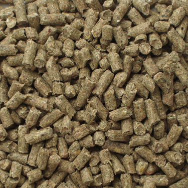 Laboratory Feed Mini Pig Chow
