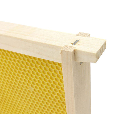 Medium Wood Frame with Plastic Foundation - Cleary Feed & Seed