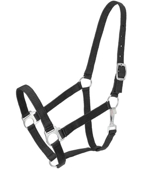 Nylon Stable Full Halter - Cleary Feed & Seed