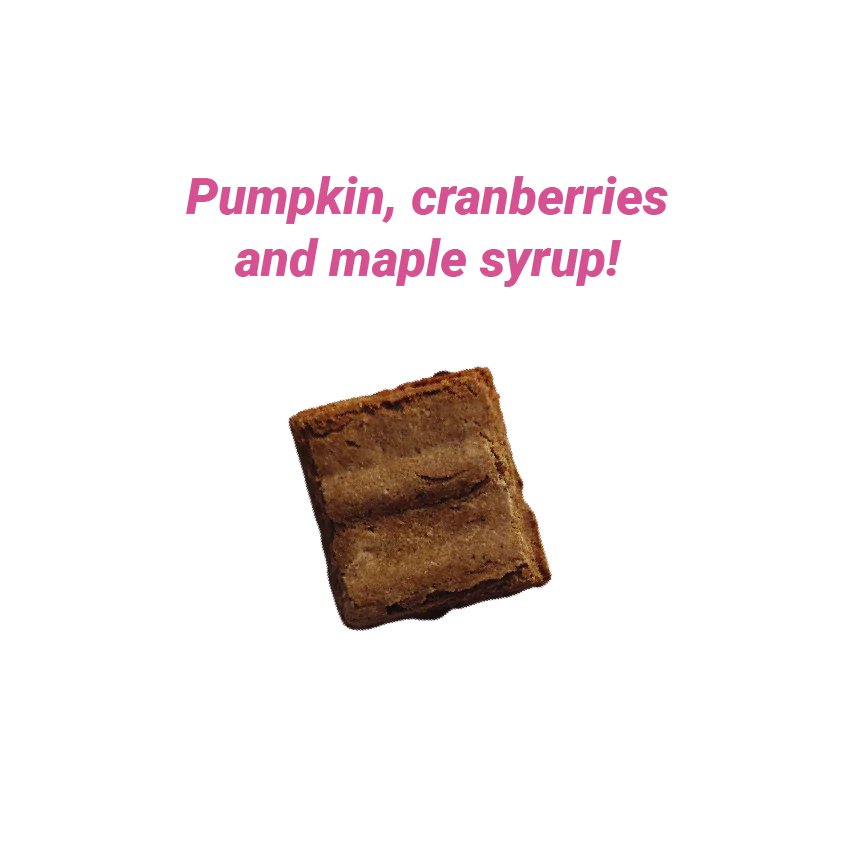 Wellness Blend Oven-Baked Biscuits for Tail Wiggles