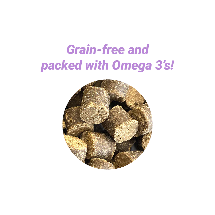 Healthy Skin & Coat Soft Chews for Radiant Coats