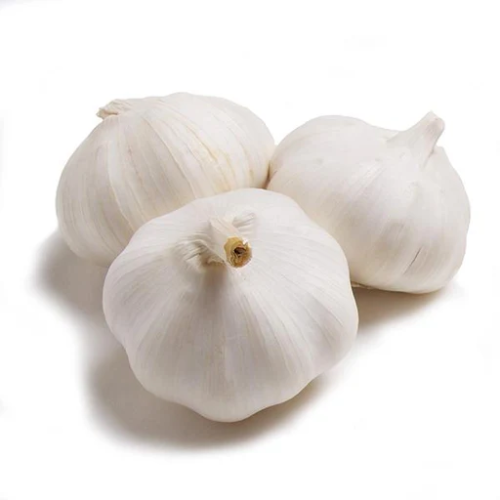 Spring Garlic Pack (3 bulbs)