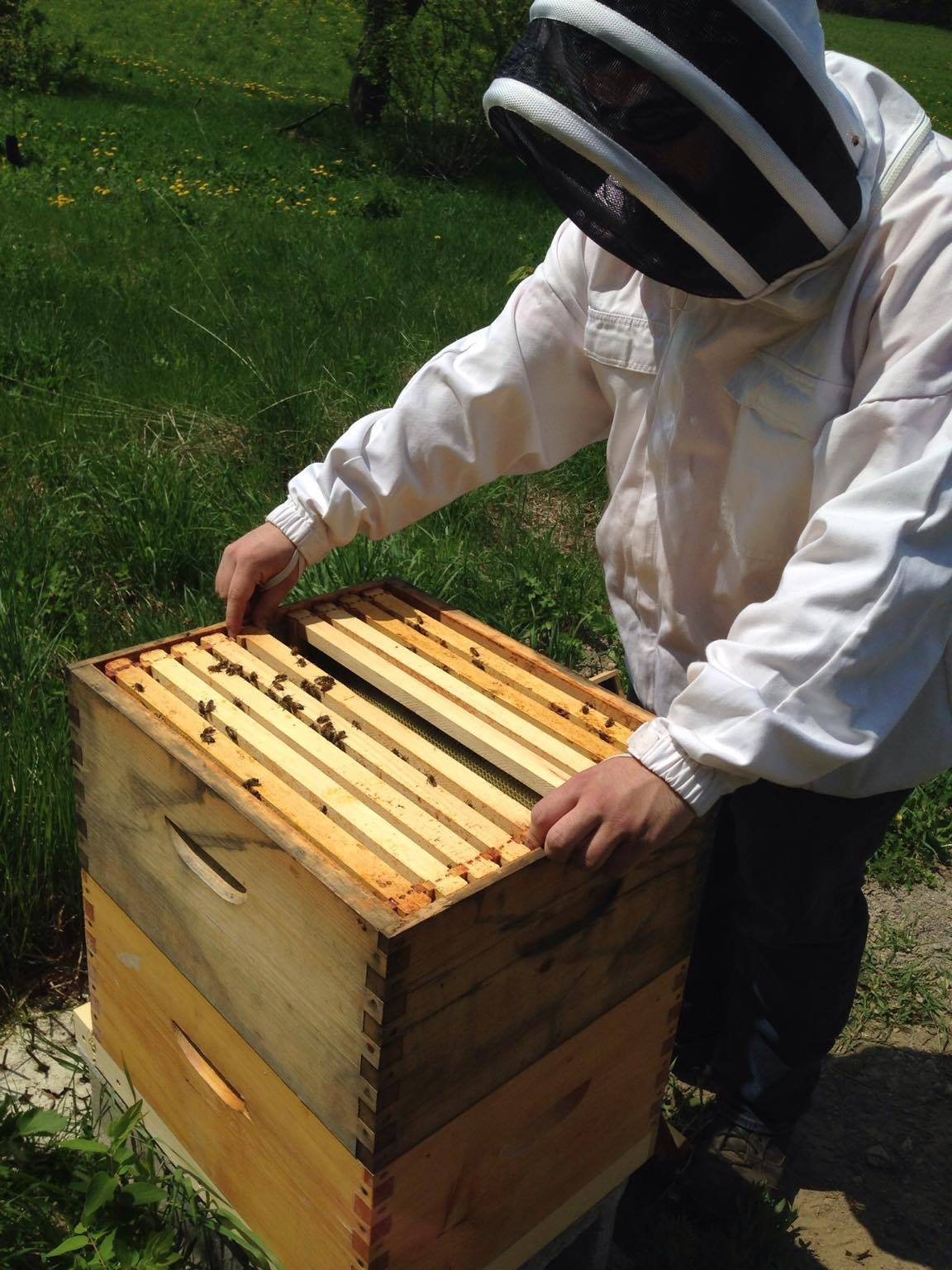 Beekeeping - Woodenware & Hive Components
