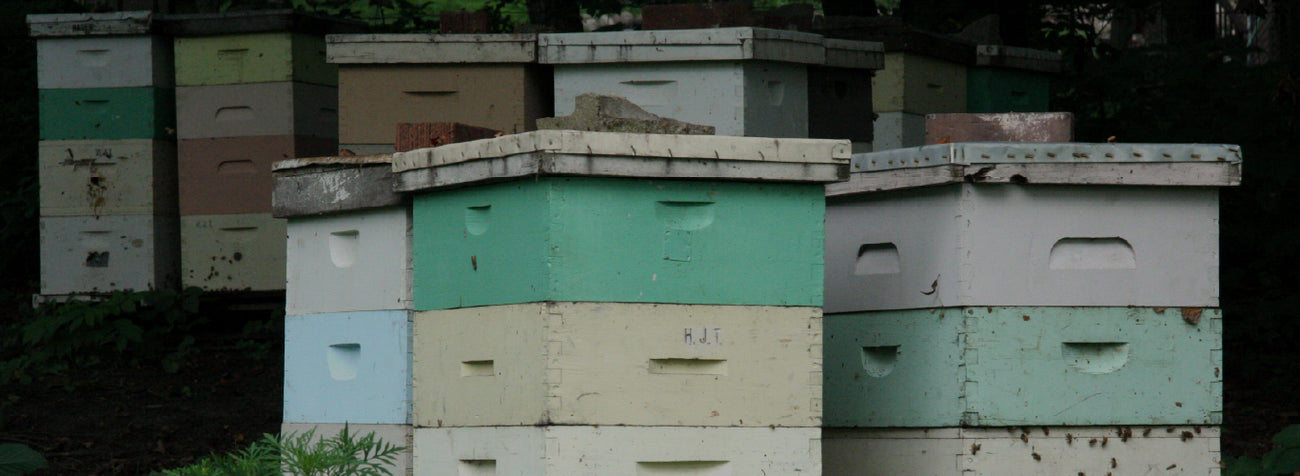 Beekeeping - Pest Control - Cleary Feed & Seed