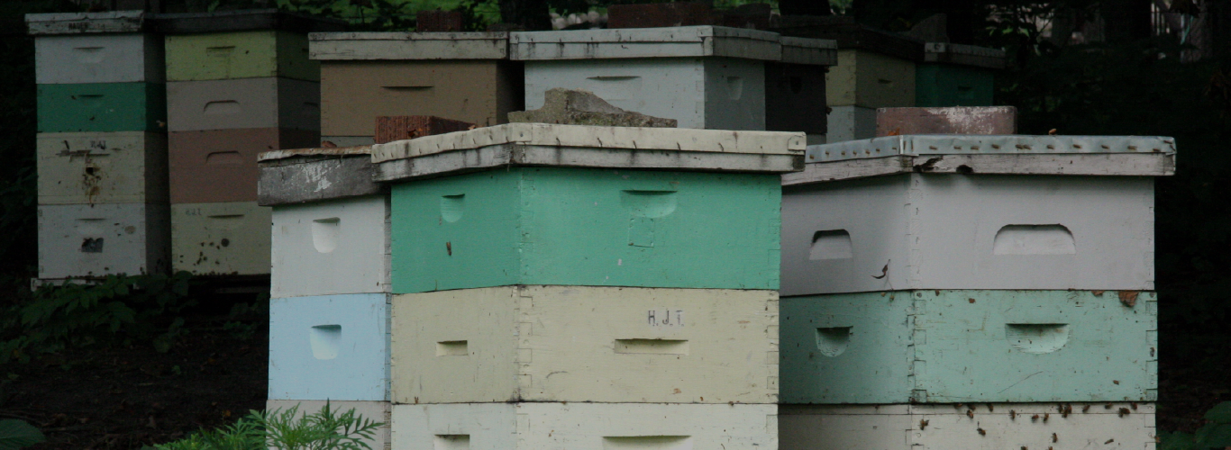 Beekeeping - Tools & Hardware – Cleary Feed & Seed