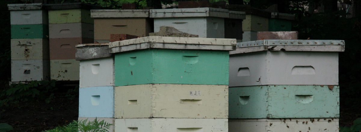 Beekeeping - Tools & Hardware - Cleary Feed & Seed