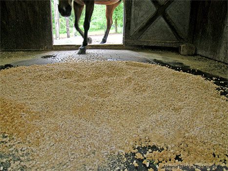 Equine - Bedding & Housing - Cleary Feed & Seed