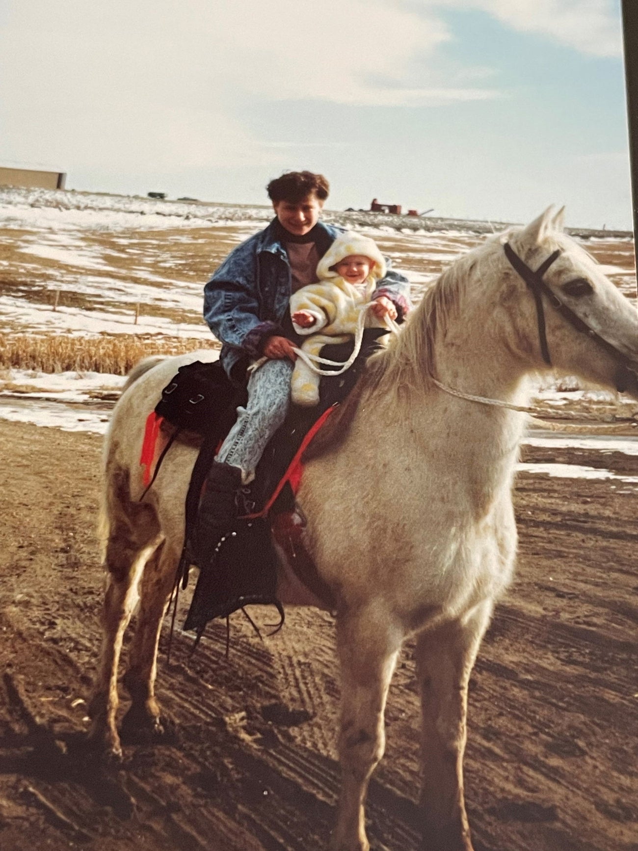 Equine - Feed & Nutrition - Cleary Feed & Seed