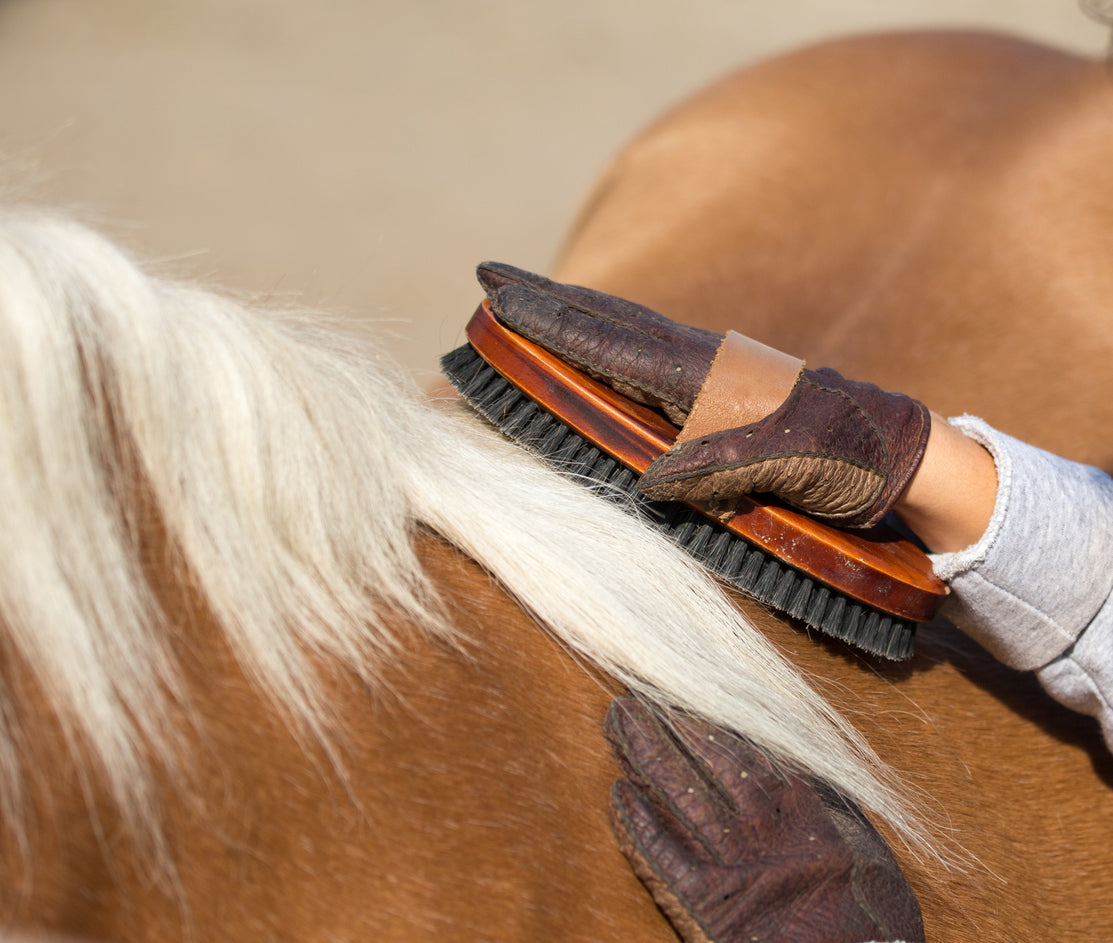 Equine - Grooming, Care & Supplies - Cleary Feed & Seed