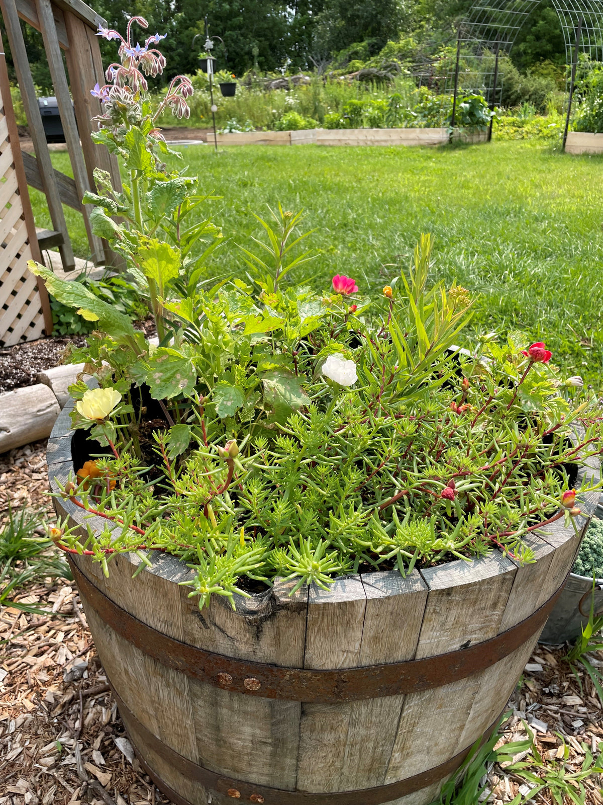Lawn & Garden - Potting Supplies - Cleary Feed & Seed