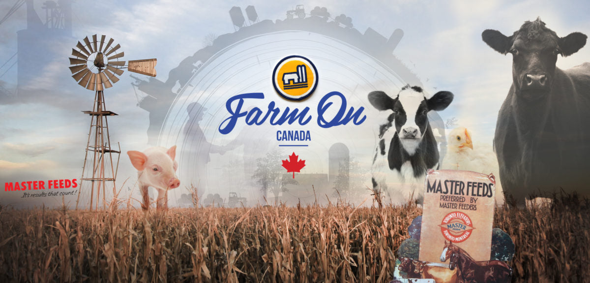 Masterfeeds – Cleary Feed & Seed