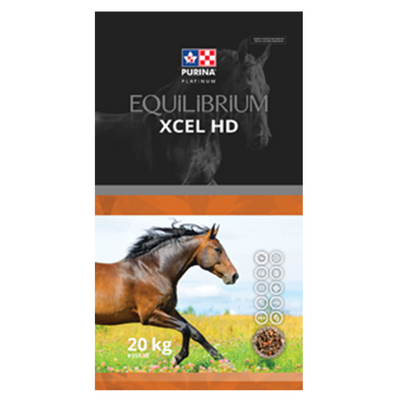 Equilibrium Xcel HD
