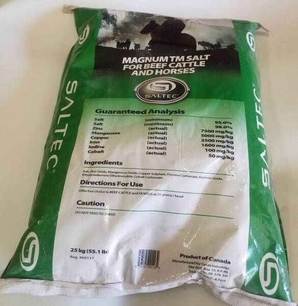 Magnum TM Salt for Beef Cattle and Horses (25kg Bag)