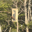 Eco-Crust Bird Pie Feeder