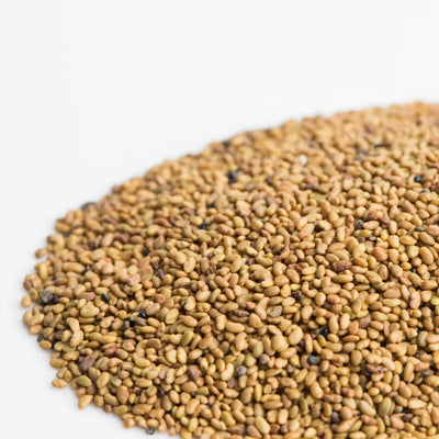 Organic Alfalfa Seed (1 lb)