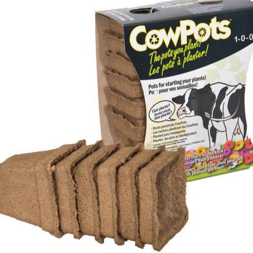 Cow Pots Square 4" - Cleary Feed & Seed