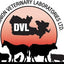 DVL L-Lysine HCl 100mL Oral Paste for Cats