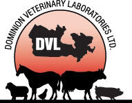 DVL L-Lysine HCl 100mL Oral Paste for Cats