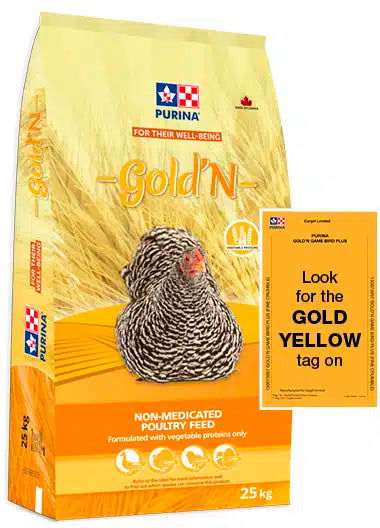 Gold'n Gamebird & Turkey Starter - Non Medicated - Cleary Feed & Seed