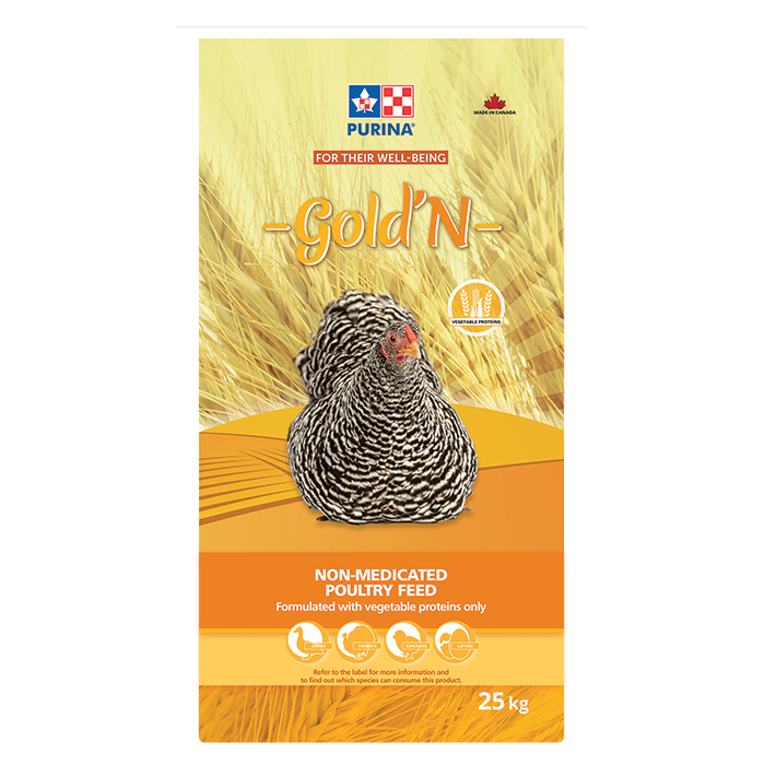 Golden Layena Short Pellet - Cleary Feed & Seed