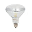 Heat Lamp Bulb