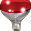 Heat Lamp Bulb - Cleary Feed & Seed