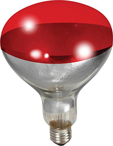 Heat Lamp Bulb - Cleary Feed & Seed