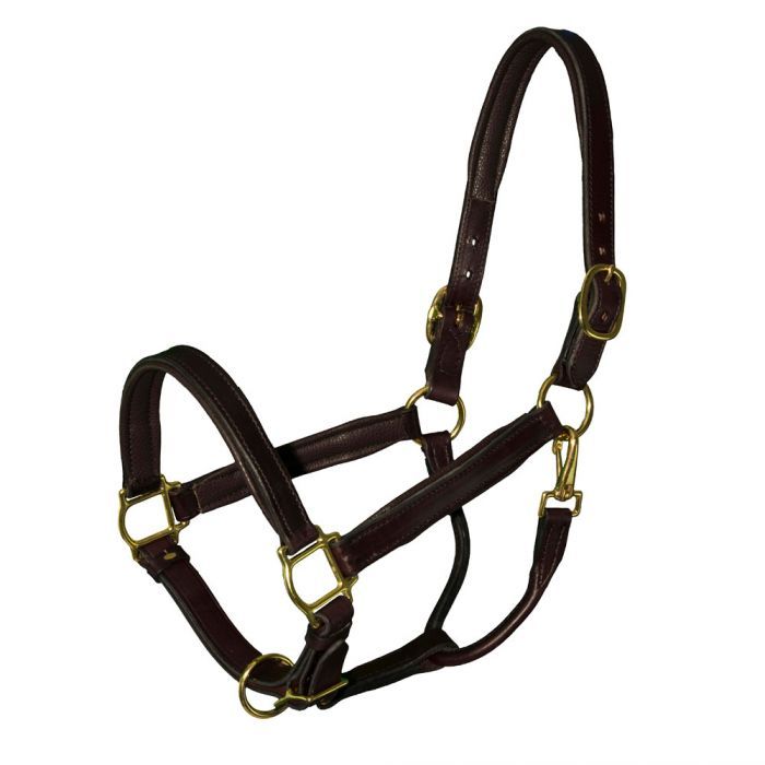 Leather Foal Halter - Cleary Feed & Seed