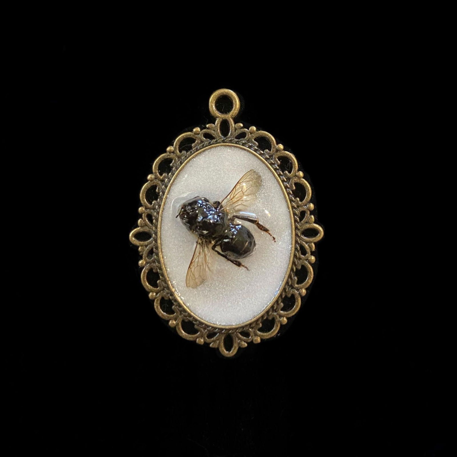 Locally-Made Honeybee Jewelry - Cleary Feed & Seed