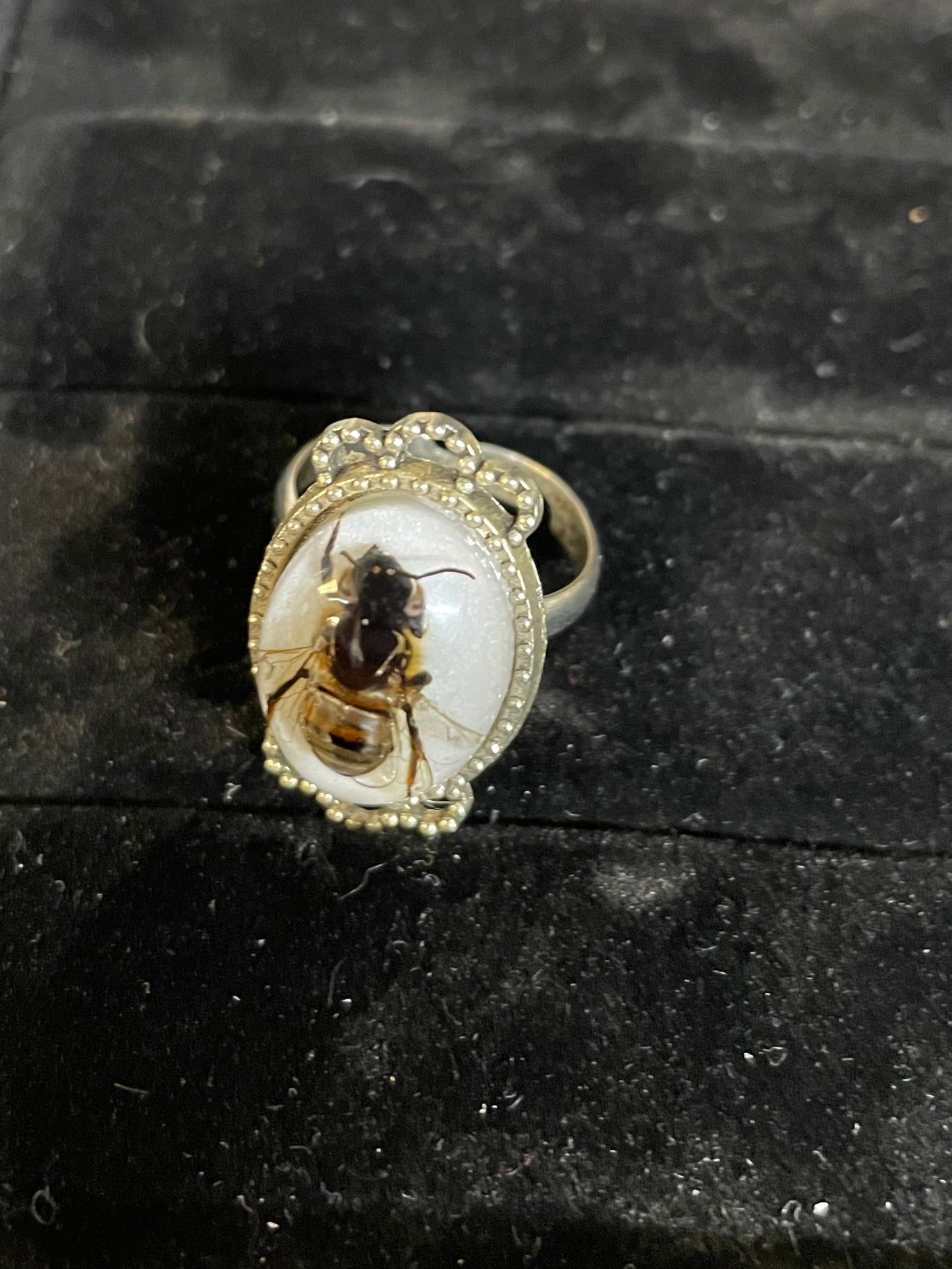 Locally-Made Honeybee Jewelry - Cleary Feed & Seed