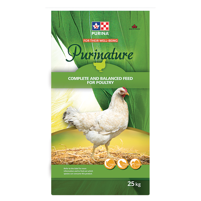 Medicated Purinature Turkey Starter 24% - Cleary Feed & Seed