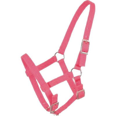 Mini Nylon Halter - Cleary Feed & Seed