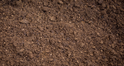 Peat Moss Bedding