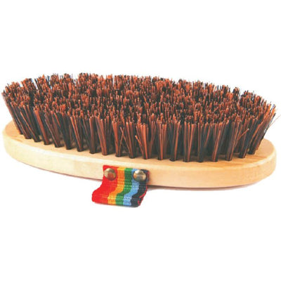 Mud Brush with Rainbow Handle - Cleary Feed & Seed