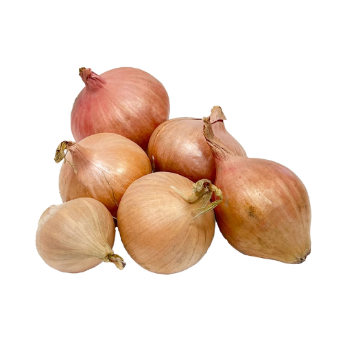 Multiplier Onion Bulbs (25lb Bag)