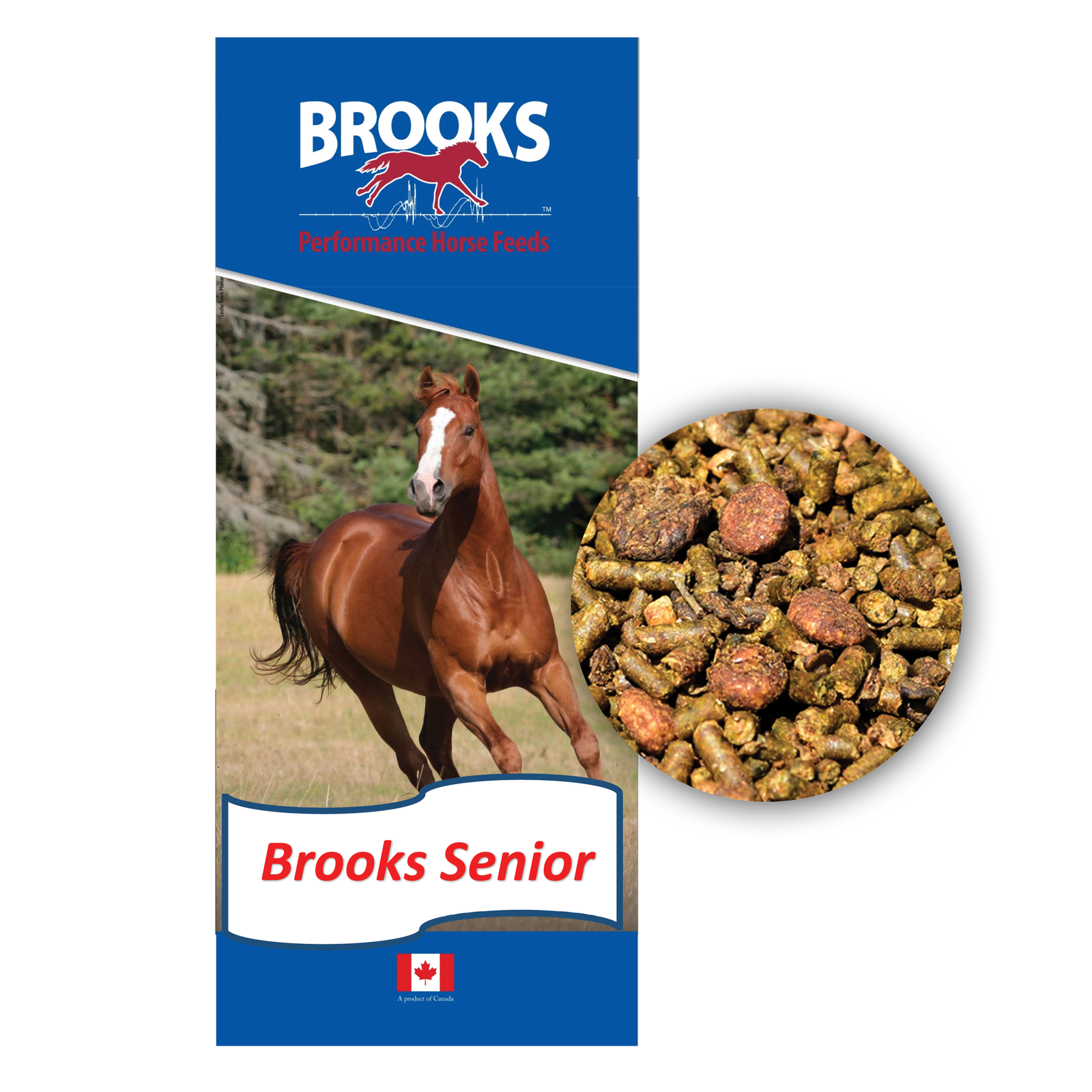 Senior Horse Ration 14% - Cleary Feed & Seed