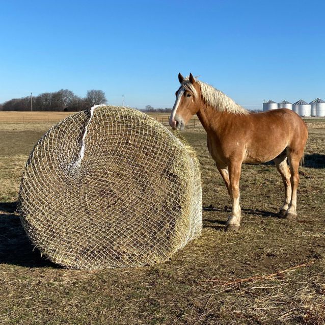 Slow Feed Round Bale Hay Net - Cleary Feed & Seed