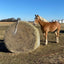 Slow Feed Round Bale Hay Net - Cleary Feed & Seed