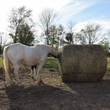 Slow Feed Round Bale Hay Net - Cleary Feed & Seed