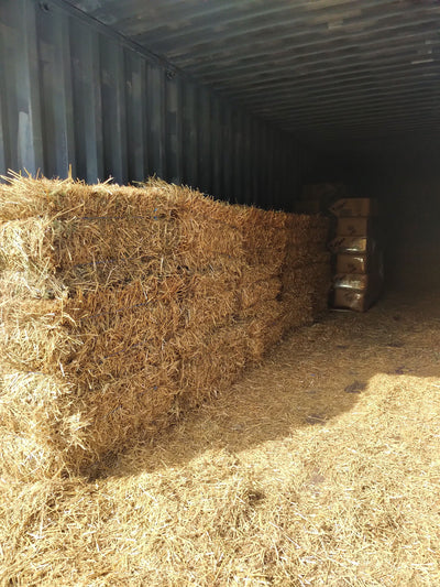 Straw - Small Square Bale - Cleary Feed & Seed