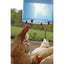 Vertical Poultry Waterer Nipples - Cleary Feed & Seed