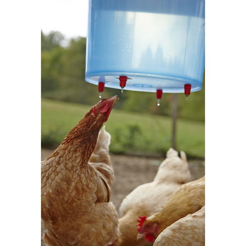 Vertical Poultry Waterer Nipples - Cleary Feed & Seed