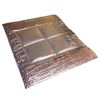 Reflective Winter Pillow