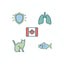 DVL L-Lysine HCl 100mL Oral Paste for Cats