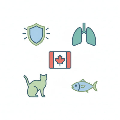 DVL L-Lysine HCl 100mL Oral Paste for Cats