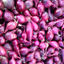 Onion Sets (100 pack)